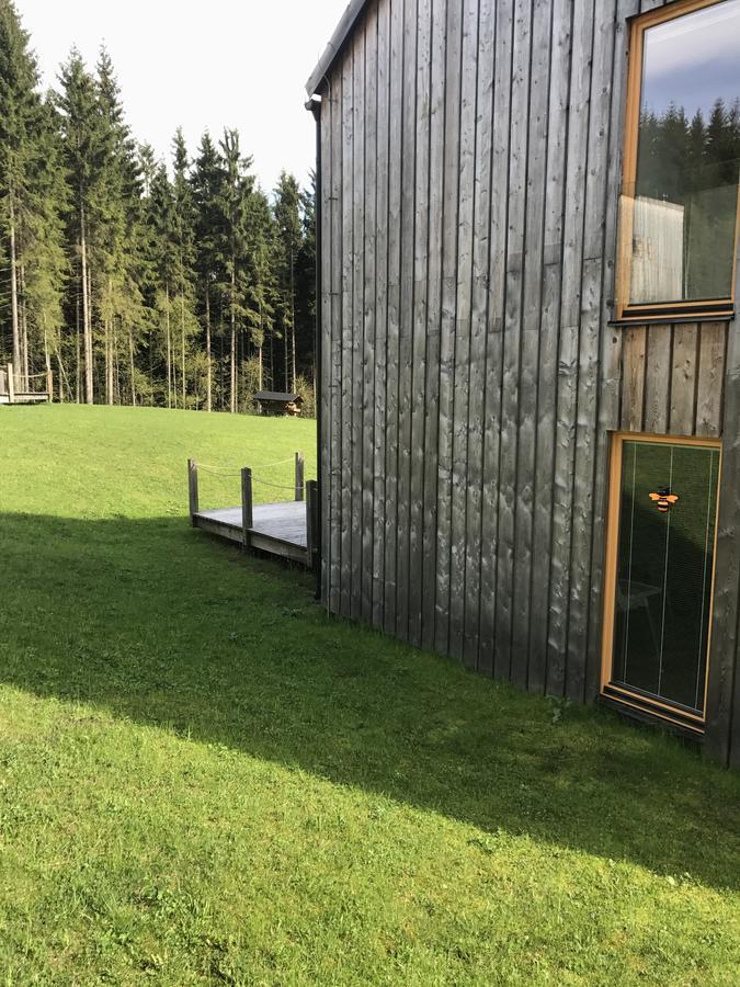 Chalet6Harrachov Se Saunou Exterior photo
